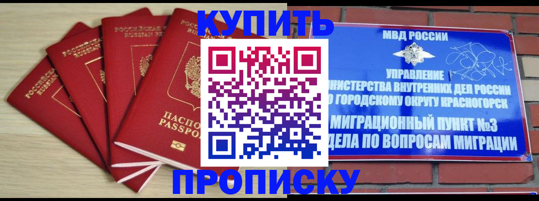 временная регистрация для всех в Благовещенске